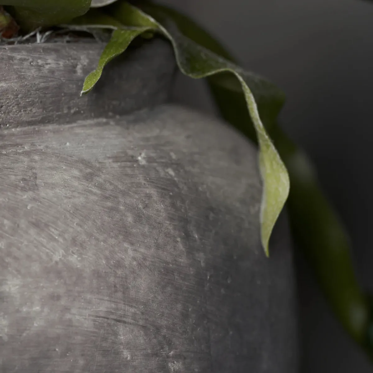 House Doctor Heimdekor|Blumentöpfe Und Übertöpfe|Blumenkasten, Rustik, Beton