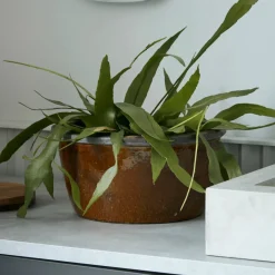 House Doctor Heimdekor|Blumentöpfe Und Übertöpfe|Blumentopf, Whai, Senfgelb