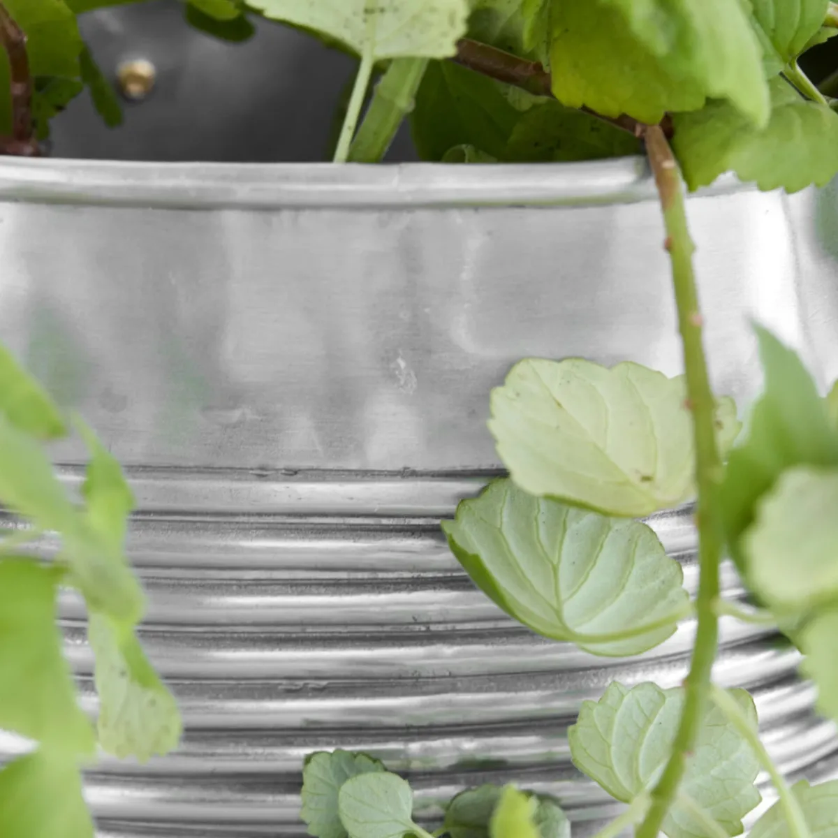 House Doctor Heimdekor|Blumentöpfe Und Übertöpfe|Pflanzer, HDGroove, Antiksilber-Finish