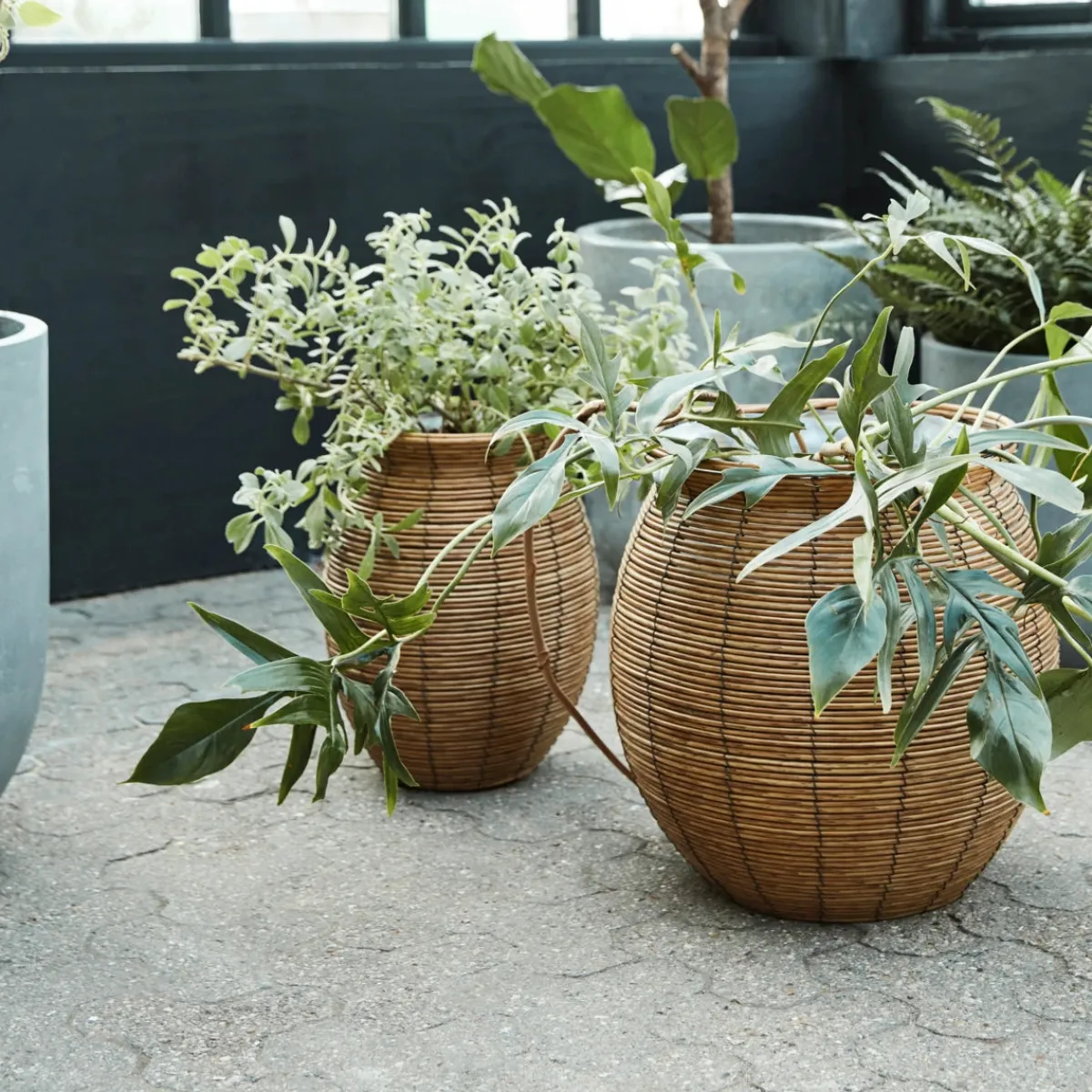 House Doctor Heimdekor|Blumentöpfe Und Übertöpfe|Planter, HDBoum, Nature