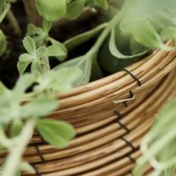 House Doctor Heimdekor|Blumentöpfe Und Übertöpfe|Planter, HDBoum, Nature