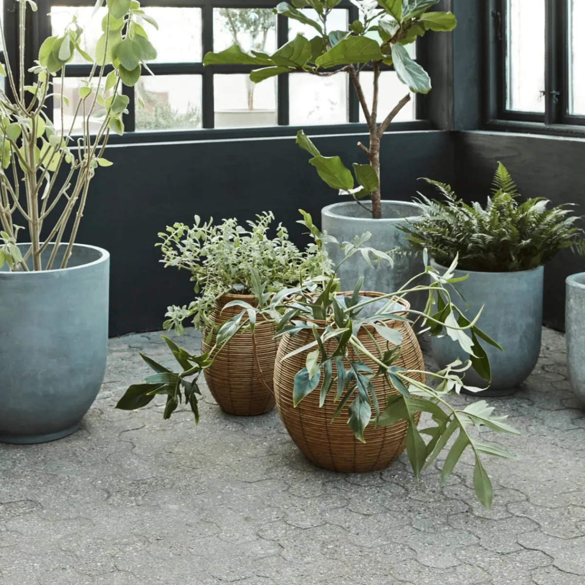 House Doctor Heimdekor|Blumentöpfe Und Übertöpfe|Planter, HDBoum, Nature