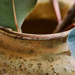 House Doctor Heimdekor|Vasen|Vase, HDKolo, Senfgelb