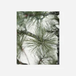 House Doctor Christmas Decor|Weihnachtsbaum, Peuce, Natur